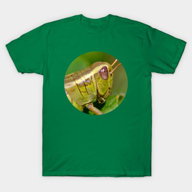 Green Grasshopper Macro Photograph Circle T-Shirt by love-fi